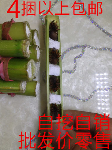小地黄牛40只装上性皮虫斗鸟