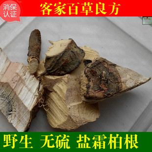 盐肤木根 盐霜柏 五倍子树 浦连盐 叛奴盐 红盐柴 包邮500克