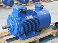 YVP90S-4极变频电机 马达 调速电机（1.1KW）全铜线绕组电动机
