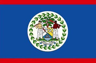 5号五号伯利兹国旗【五洲旗业】1号2号3号4号6号7号8号国旗