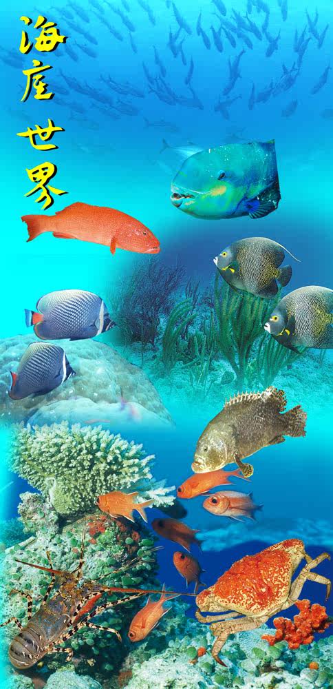 697海报印制展板贴纸挂图画写真喷绘279海底图片