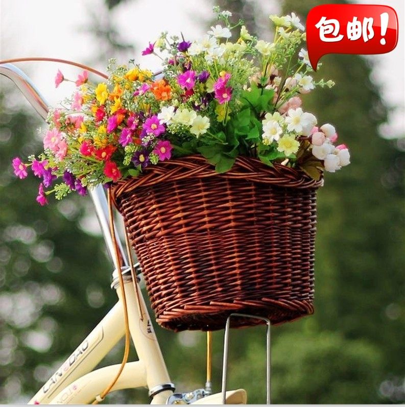 Panier pour vélo QUISKI en vigne - Ref 2255901 Image 1