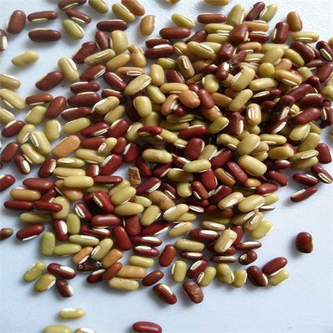 小赤豆长粒赤豆  非红豆 野生赤小豆去湿赤豆拍3件送3件