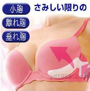 Pads pour soutien-gorge - Ref 819497 Image 1