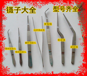 包邮不锈钢镊子眼科镊子 直尖弯尖头镊小镊子齿镊敷料镊直头 弯头