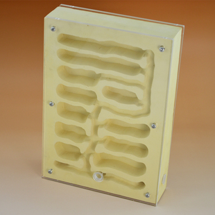 施王蚁馆 宠物蚂蚁立体原始生态石膏饲养蚁巢 包邮