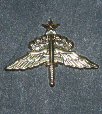 美囯徽章 高跳低开金属章技能章