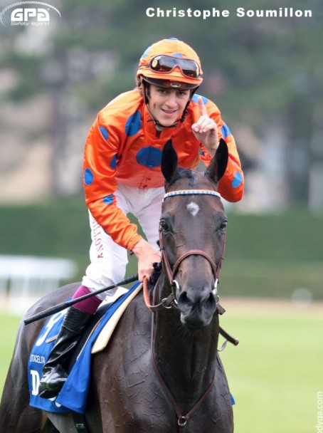 Article sports equestres - Ref 1387631 Image 1