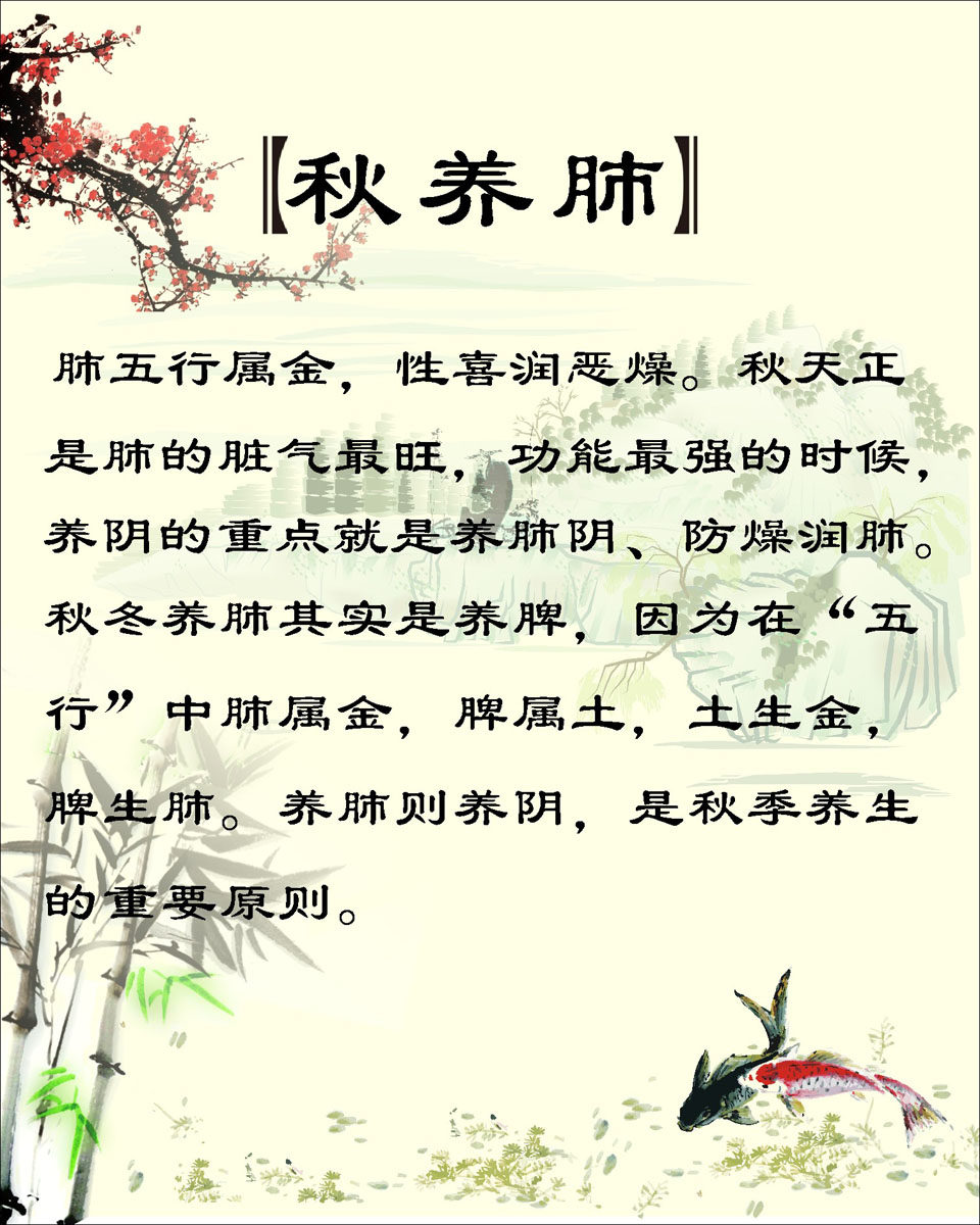 海报印制350养生展板2369中医养生之秋养肺cdr
