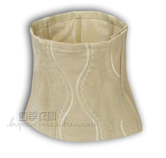 Corset - Ref 679801 Image 1