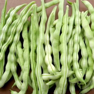 东北新鲜蔬菜豆角白豆角 农家自种芸豆角现摘现发 5斤一份包邮