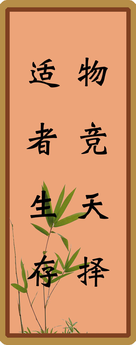 634海报印制海报展板素材778物竞天择适者生存