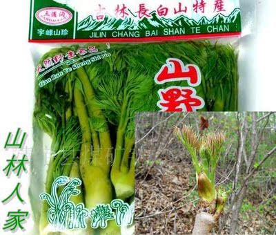 有礼盒鲜山野菜 东北山野菜 刺嫩芽 刺老芽 山芹菜水蕨/5包起拍