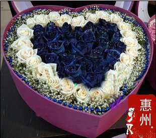 惠州鲜花 圣诞节礼盒鲜花19朵蓝色妖姬 33朵白玫瑰惠东大亚湾花店