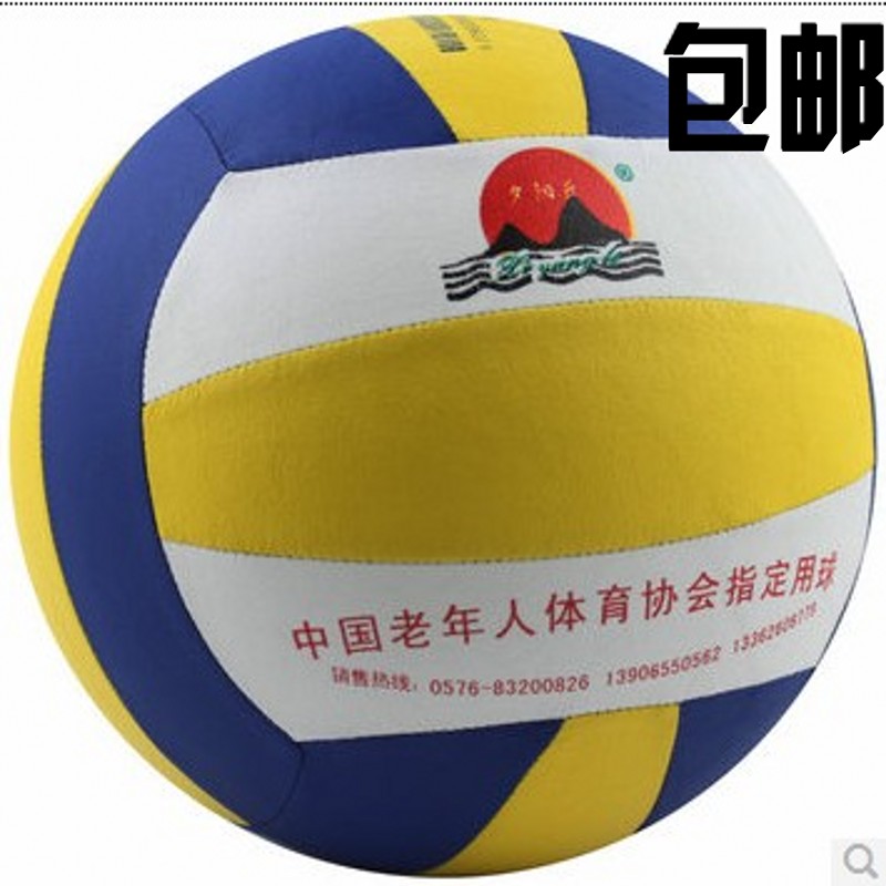Ballon de volley - Ref 2008952 Image 1