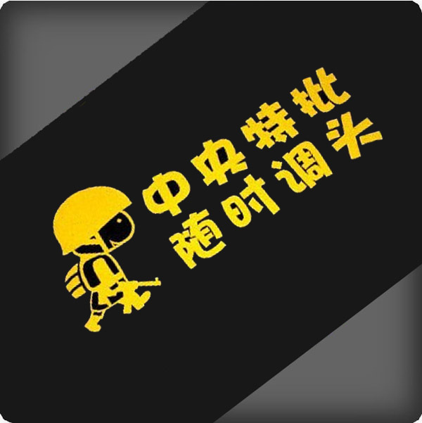´ó±ø³µÌù ·´¹â³µÌù ¸ãЦÆû³µÌùÖ½ ×°ÊγµÌù ÖÐÑëÌØÅúËæÊ±µôÍ·