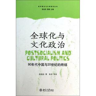 化与文化政治(90年代中国与20世纪的终结)/批评理