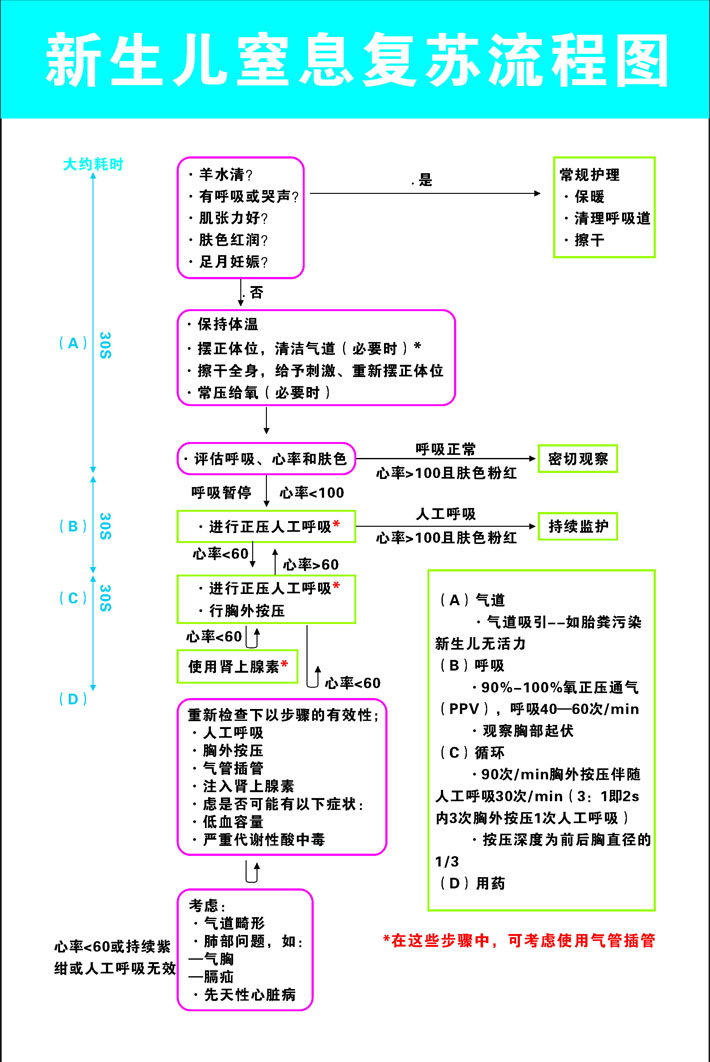 604海报印制海报展板素材48产科急救看板新生儿窒息复苏流程图