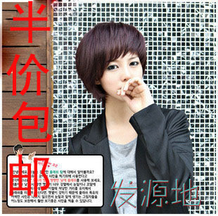 Extension cheveux - Chignon - Ref 248538 Image 104