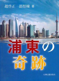浦东奇迹 畅想畅销书