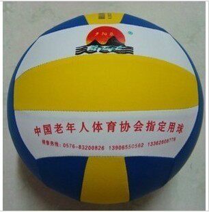 Ballon de volley-ball - Ref 2012914 Image 1