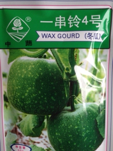 一串铃4号/冬瓜种子 小型 早熟 中国农科院种子蔬果蔬菜种子20g