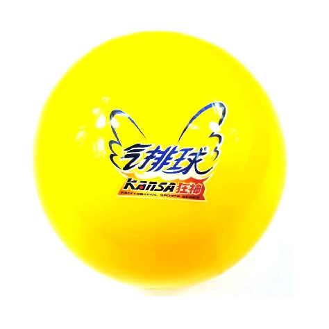 Ballon de volley - Ref 2012071 Image 1