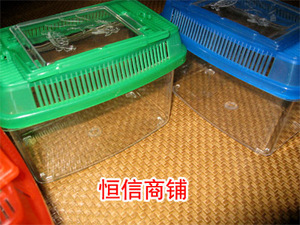 饲养盒 饲养箱 小中号8(蜘蛛蝎子角蛙甲虫蟑螂乌龟)