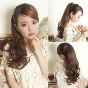 Extension cheveux - Chignon - Ref 235728 Image 22