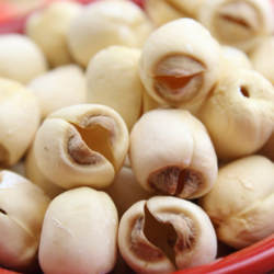 武夷山特产新到五夫莲子建莲无芯莲/建莲白莲一煮就烂500g