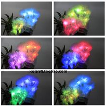 Eclairage pour vélo - Taillights - Ref 2400953 Image 20