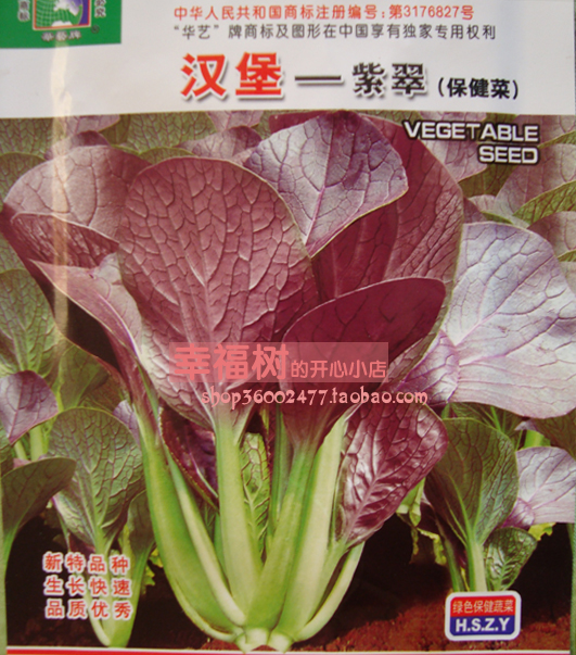 蔬菜種子 漢堡紫翠保健菜 保健紫油菜種子 新品減肥保健油菜種子