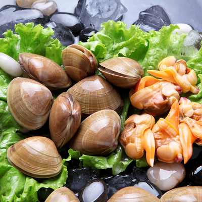 鲜活野生新鲜海鲜无沙北极贝