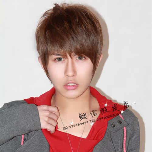 Perruque OTHER   cheveux raides Court - Ref 2609539 Image 1