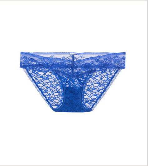 出口欧美 外贸原单 性感透气半透明蕾丝比基尼女士低腰三角内裤
