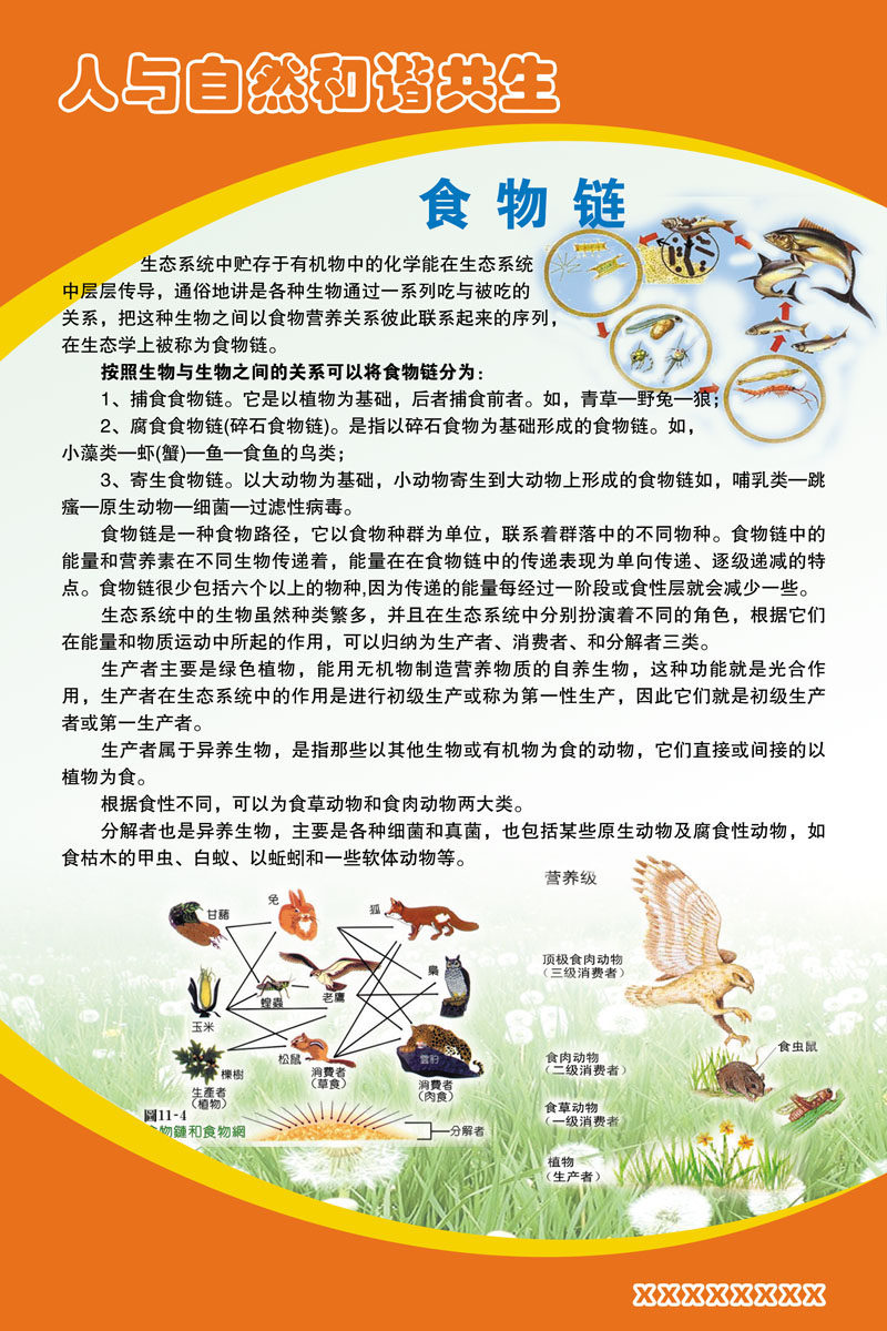650海报印制定制展板素材46人与自然和谐共生之食物链