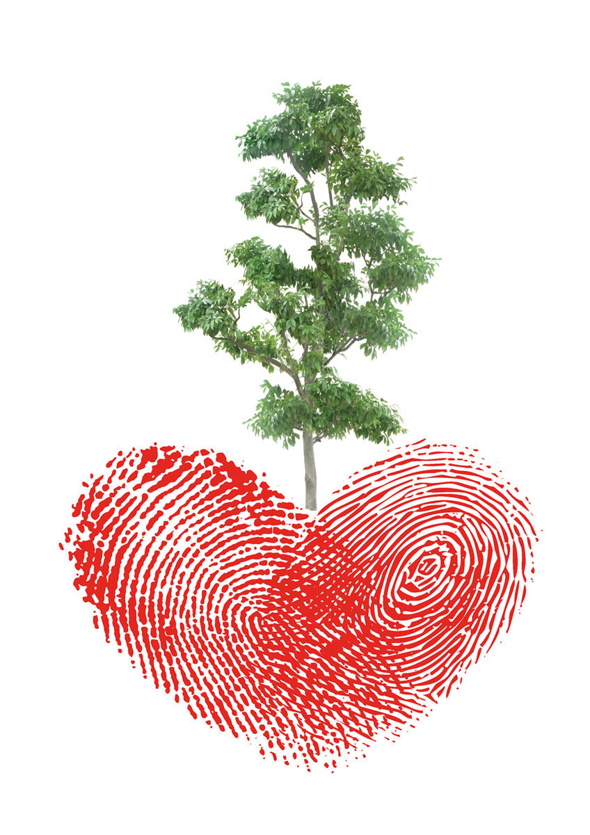 海报印制82素材公益文化展板470爱护树木 公益海报