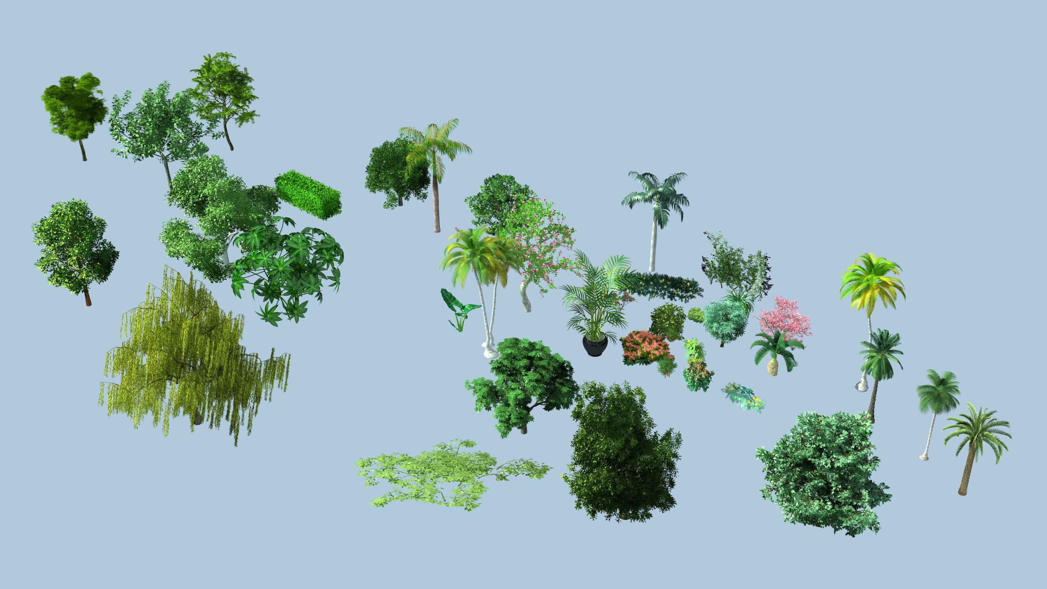 树木代理植物9/景观植物3d代理模型/不是实物/网传