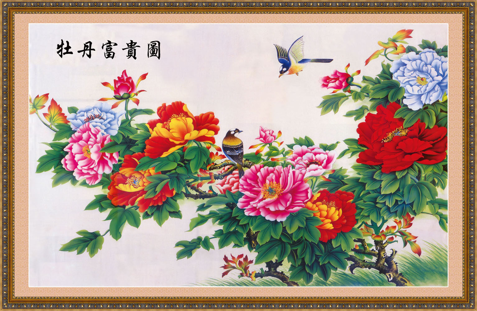 618海报印制海报展板素材437牡丹富贵图