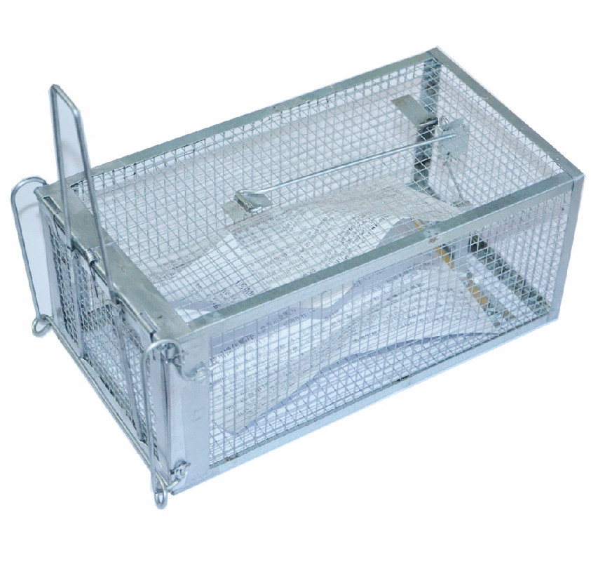 단문형 마우스 케이지 마우스 킬러 케이지 고감도 쥐덫 접착식 마우스 보드보다 경제적 마우스 킬러 마우스 클립