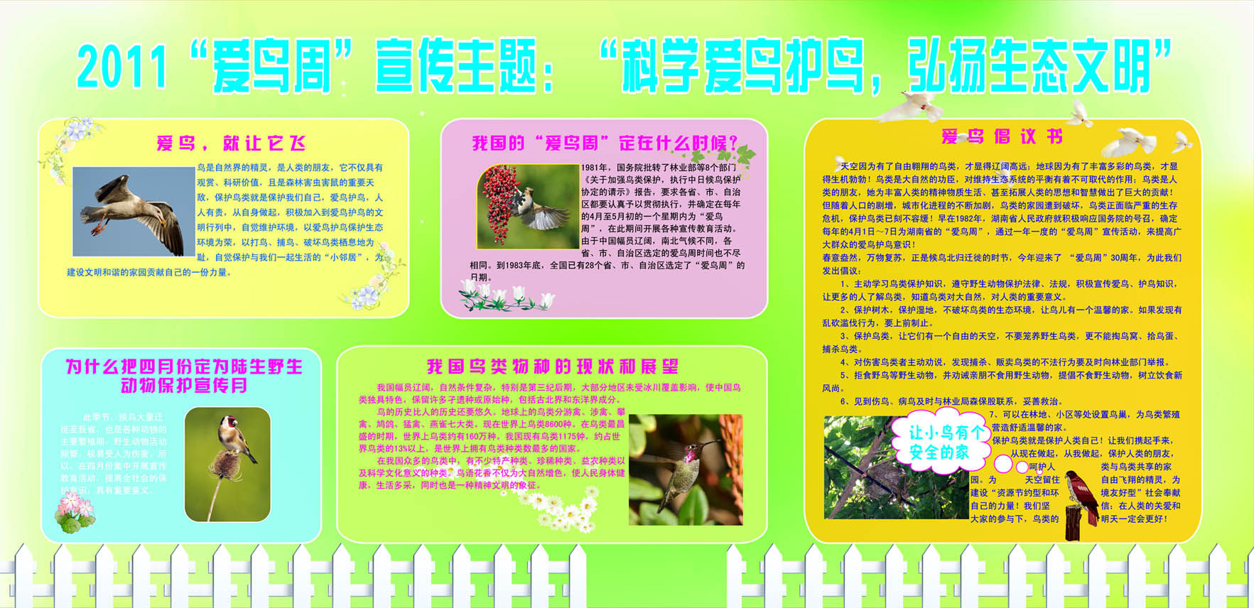 609海报印制海报展板素材750爱鸟周宣传护鸟生态文明版面