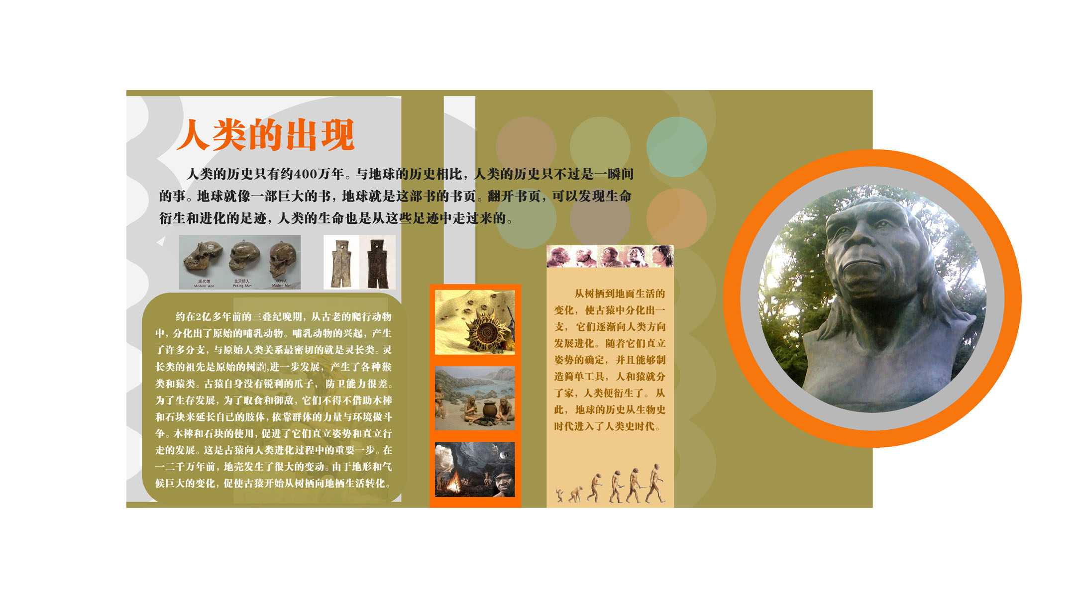 581海报印制海报展板素材589校园文化人类的出现