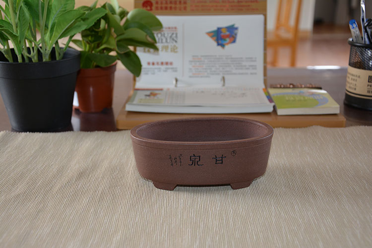 紫砂陶瓷桌面花卉绿植小型植物微型多肉迷你小盆景盆腰圆花盆