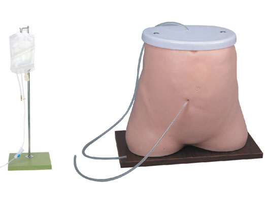 上海康礼医学模型有限公司专业生产销售心肺复苏模拟人模型、急救技能训练模型、护理技能训练模拟人模型、综合专科训练模拟人模型、妇婴技能训练模拟人模型、中医针灸等医学模型及人体骨骼、解剖、口腔教学模型等技能训练实验系统模型。厂家直销，正品销售，售后无忧，欢迎咨询：13162687657