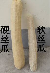 30元包邮农家老丝瓜络丝瓜筋 丝瓜精 洗碗洗澡搓背 硬软2品种可选