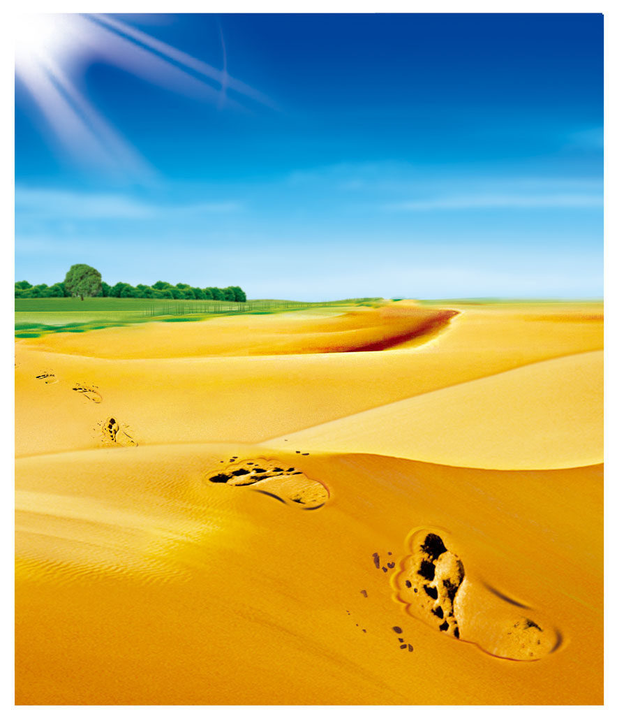 586海报印制海报展板素材355阳光绿洲沙漠天空太阳