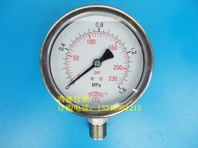 1.6MPA直立式耐腐蚀压力表