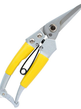 威特力 直咀不锈钢果枝剪 园艺剪刀 树枝剪 花剪 直嘴花枝剪 果剪