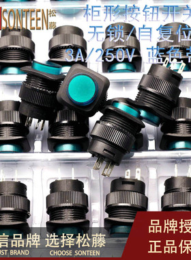 带灯无锁/自复位按钮开关/R16-504BD 柜形16MM 3A/250V绿色(5个)