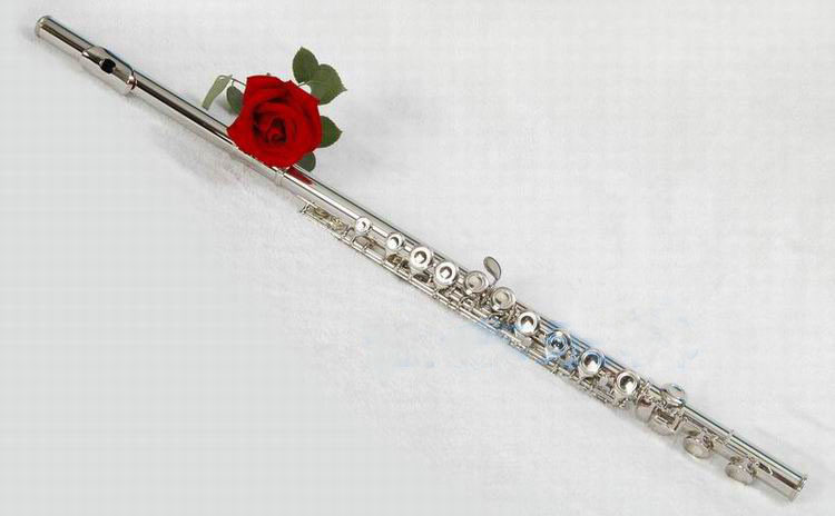 Экспорт прямых продаж белый Медная труба серебро C Pilker